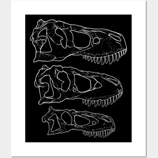 Daspletosaurus Tarbosaurus Tyrannosaurus Rex fossil skulls Posters and Art